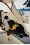 Freyja as a puppy in her PFD onboard Spirit, our Jeanneau 23.

Rest in peace, Freyja.  Passed away at 12 years of age - June 1, 2008.