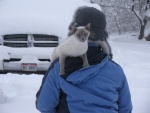 Ninja escaping the snow.  Great license plate on the truck!