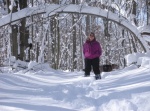 Snow arch in our woods / Feb 2010.  18