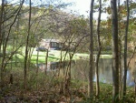 Looking at the cabin from one of the trails.