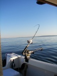 Puget Sound, Wa. Aug.2010