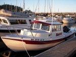 Kingston Marina, Aug. 2010