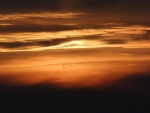 Geese at sunset - Baskett slough