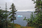 Looking towards Columbia Glacier from Growler Island.