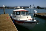 Highlight for Album: Alameda - SF Day Trip (2004-05-15)