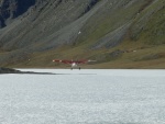 Landing on the ice at Nunya Lake