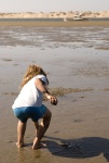Clam digging, Mag Bay style -- more like clam picking-upping.