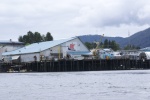 Inside Passage 2011 191 -Petersburg PFI Icicle Seafoods Dock