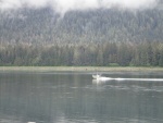 Petersburg C-Dory, heading down the Wrangell Narrows.  Petersburg May, 2021 P5230066