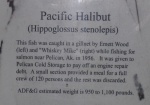 Petersburg, March 2012 091A - Info about huge halibut in previous picture