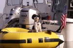 Baxter in Dinghy