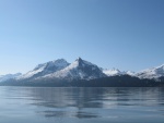 Highlight for Album: On the water in Prince William Sound