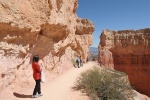 Stroll through Bryce Canyon