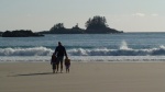 West Beach (Pruth Bay Anchorage)