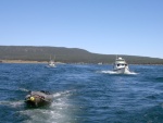 Seaspray and Voyager behind Mokai