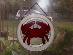 Crab in Window