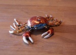 Crab on Coffee Table