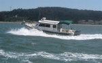 Dora Jean riding the swells outside the Golden Gate. A fine looking CD25 in action.