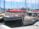 Parked next to a Duffy electric boat at Waikiki Yacht Club
10/11/08