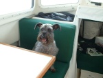 (FreighterGazer) 2nd Mate Scruffy.  The real 