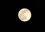Full moon 12/12/08