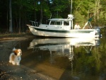 Checking out the geese just off the beach.