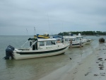 St. George Island, Apalachicola Bay, FL. First Annual Gulf Coast Brat Gathering,2006.