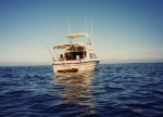 Fiberform 23 -- fishing off Anacapa 1994