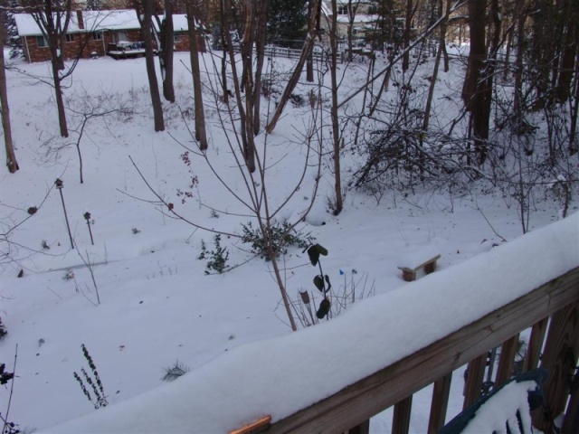 The creek is snowed over.