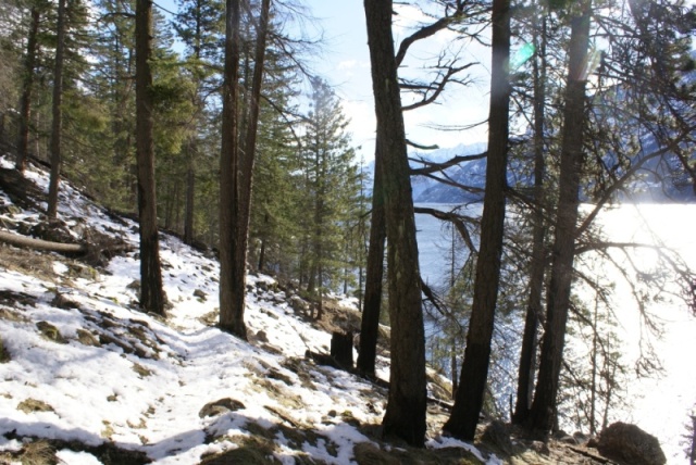 Lake Chelan - Jan,2013 127 - Lakeshore Trail near Stehekin