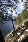 Lake Chelan - Jan,2013 134 - Lakeshore Trail near Stehekin