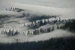 Mountain Mists