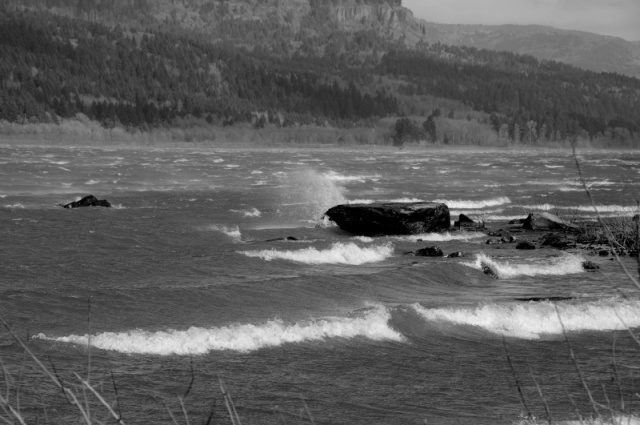 Windy Gorge