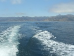 Leaving Catalina (Long Point)