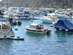 Moored in Avalon.