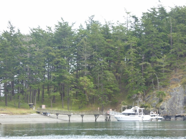 Checking out James Island Saturday afternoon - dock was full