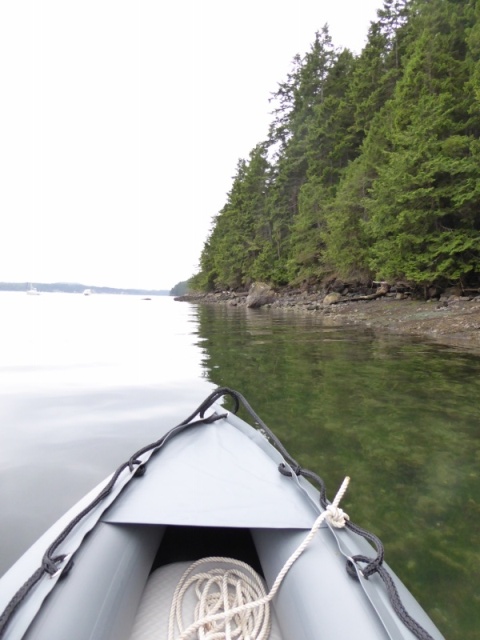 Exploring the shores of Cypress in the Kaboat - in about 1 foot of water here.