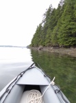 Exploring the shores of Cypress in the Kaboat - in about 1 foot of water here.