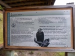 Information at Eagle Harbor