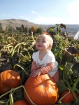 Harper Loves Those Pumpkins