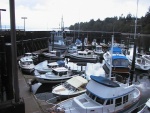 Dock View -