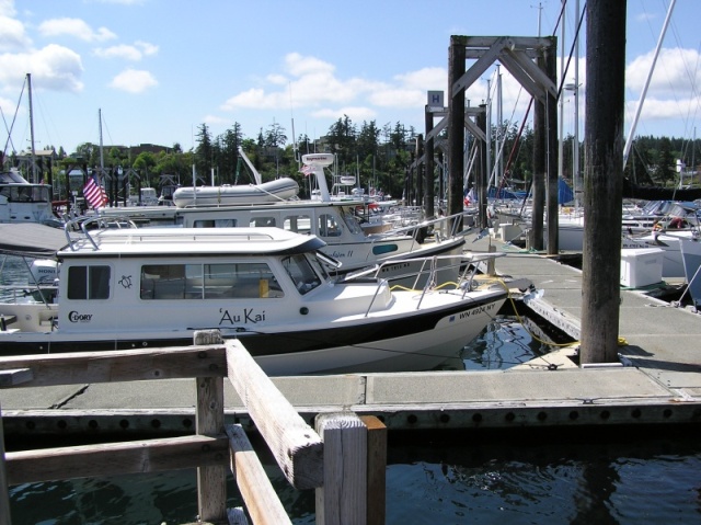 All the boats lined up.