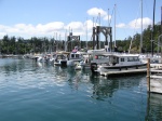 The line up on dock 