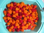 Salmon Berries