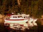 Daydream, Traveler and Anna Leigh at Chuckanut Bay 5-24-09