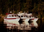 Daydream, Traveler and Anna Leigh at Chuckanut Bay 5-24-09