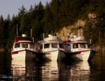 Daydream, Traveler and Anna Leigh at Chuckanut Bay 5-24-09