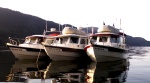 Daydream, Traveler and Anna Leigh at Chuckanut Bay 5-24-09