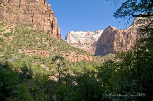 Zion DSC1209