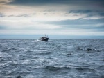 Blue Max - Run across the Strait from Sequim to Cattle Point